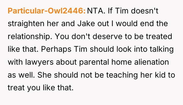 Particular-Owl2446 NTA. If Tim doesn't straighten her and Jake out...