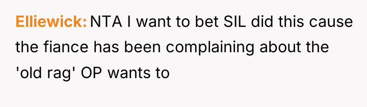 Elliewick NTA I want to bet SIL did this cause...