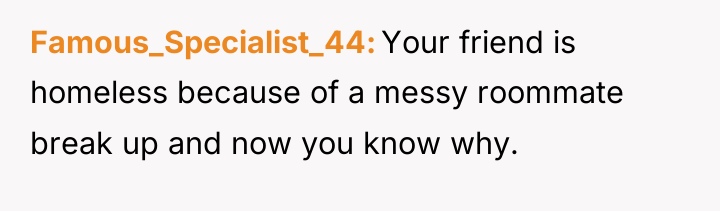 Famous_Specialist_44 Your friend is homeless because of a messy roommate...