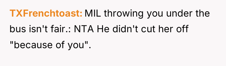 TXFrenchtoast MIL throwing you under the bus isn't fair.: NTA...
