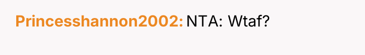 Princesshannon2002 NTA: Wtaf?