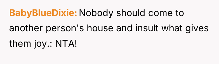 BabyBlueDixie Nobody should come to another person's house and insult...