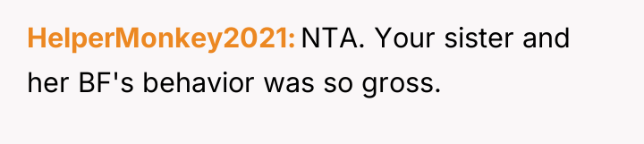 HelperMonkey2021 NTA. Your sister and her BF's behavior was so...