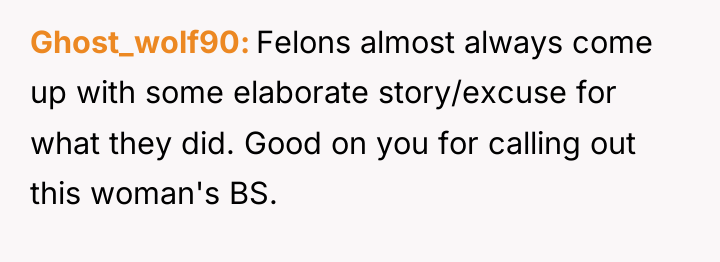 Ghost_wolf90 Felons almost always come up with some elaborate story/excuse...