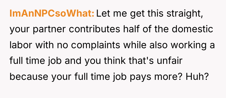 ImAnNPCsoWhat Let me get this straight, your partner contributes half...