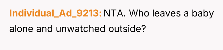 Individual_Ad_9213 NTA. Who leaves a baby alone and unwatched outside?