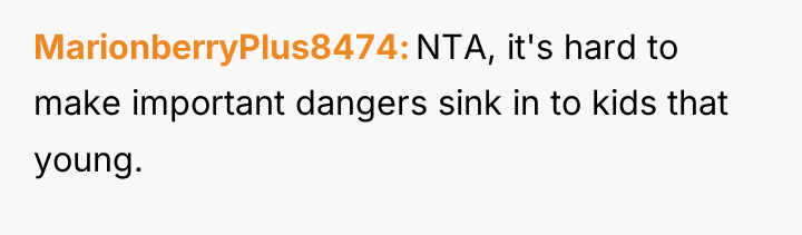 MarionberryPlus8474 NTA, it's hard to make important dangers sink in...