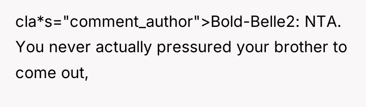 cla*s="comment_author">Bold-Belle2: NTA. You never actually pressured your brother to come...