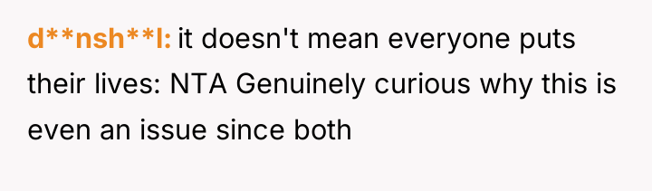 d**nsh**l it doesn't mean everyone puts their lives: NTA Genuinely...