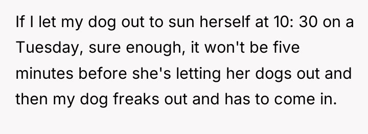 If I let my dog out to sun herself at...