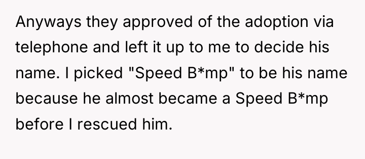 Anyways they approved of the adoption via telephone and left...