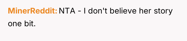 MinerReddit NTA - I don't believe her story one bit.