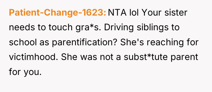 Patient-Change-1623 NTA lol Your sister needs to touch gra*s. Driving...