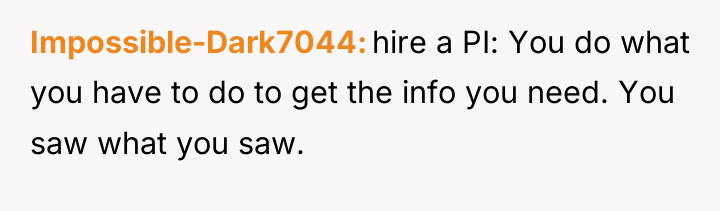 Impossible-Dark7044 hire a PI: You do what you have to...