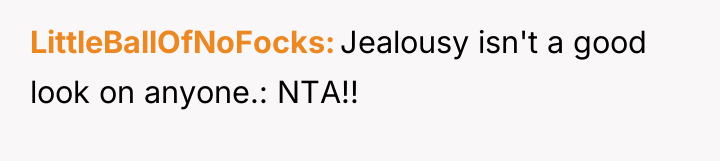 LittleBallOfNoFocks Jealousy isn't a good look on anyone.: NTA!!