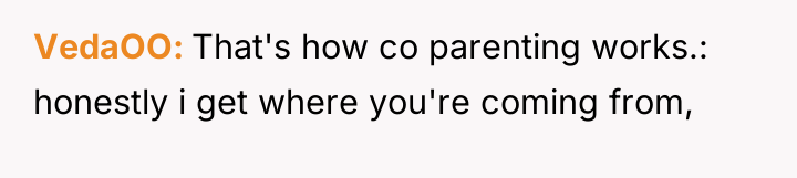 VedaOO That's how co parenting works.: honestly i get where...