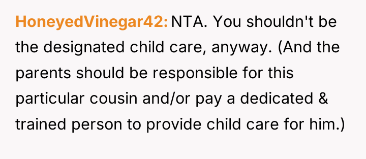 HoneyedVinegar42 NTA. You shouldn't be the designated child care, anyway....