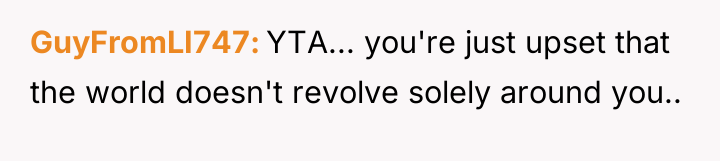 GuyFromLI747 YTA... you're just upset that the world doesn't revolve...