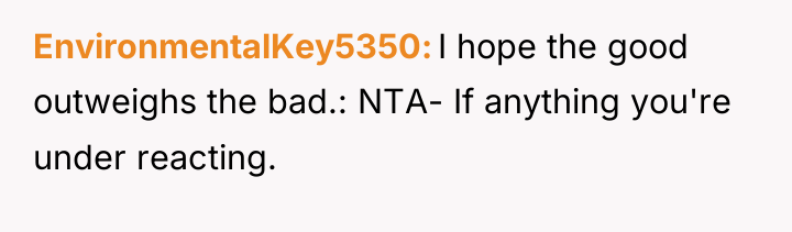 EnvironmentalKey5350 I hope the good outweighs the bad.: NTA- If...