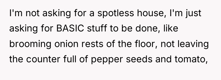 I'm not asking for a spotless house, I'm just asking...