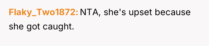 Flaky_Two1872 NTA, she's upset because she got caught.