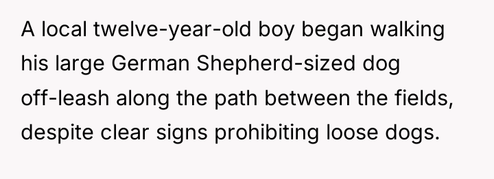 A local twelve-year-old boy began walking his large German Shepherd-sized...