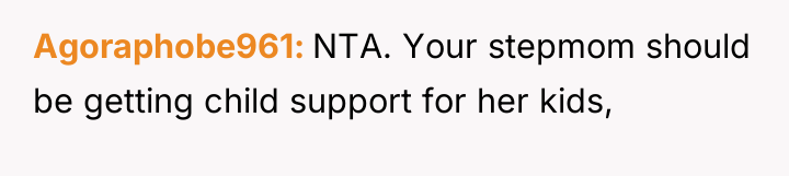 Agoraphobe961 NTA. Your stepmom should be getting child support for...
