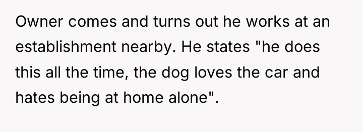 Owner comes and turns out he works at an establishment...