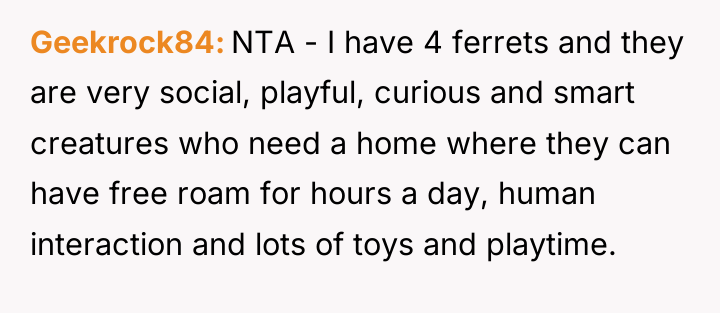 Geekrock84 NTA - I have 4 ferrets and they are...