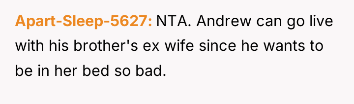 Apart-Sleep-5627 NTA. Andrew can go live with his brother's ex...