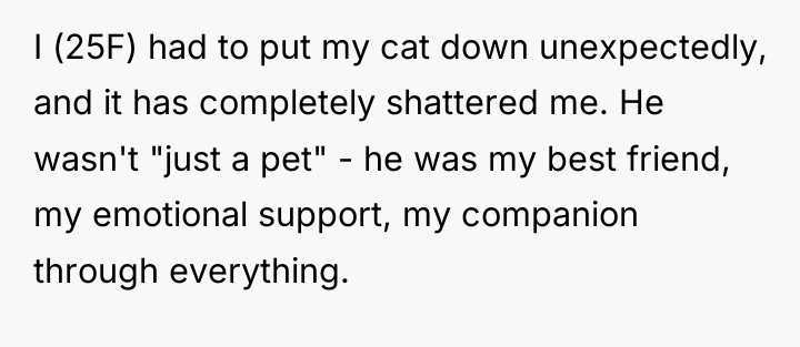 I (25F) had to put my cat down unexpectedly, and...