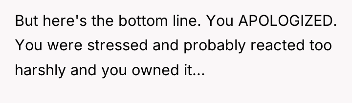 But here's the bottom line. You APOLOGIZED. You were stressed...
