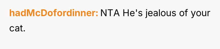 hadMcDofordinner NTA He's jealous of your cat.