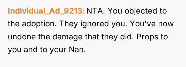 Individual_Ad_9213 NTA. You objected to the adoption. They ignored you....