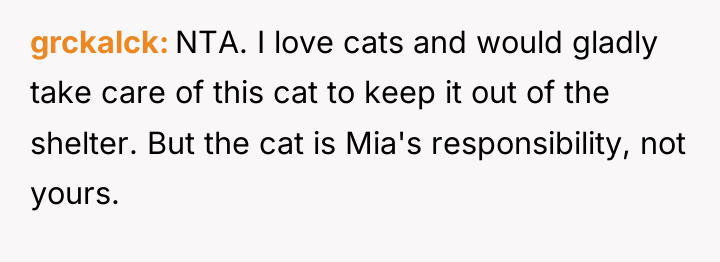 grckalck NTA. I love cats and would gladly take care...