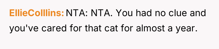 EllieColllins NTA: NTA. You had no clue and you've cared...