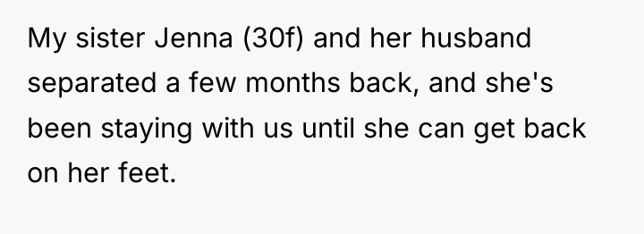 My sister Jenna (30f) and her husband separated a few...