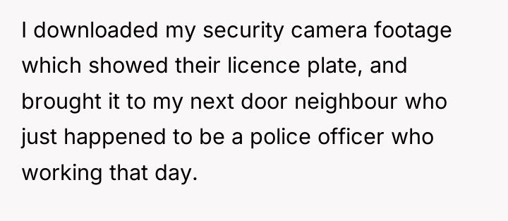 I downloaded my security camera footage which showed their licence...