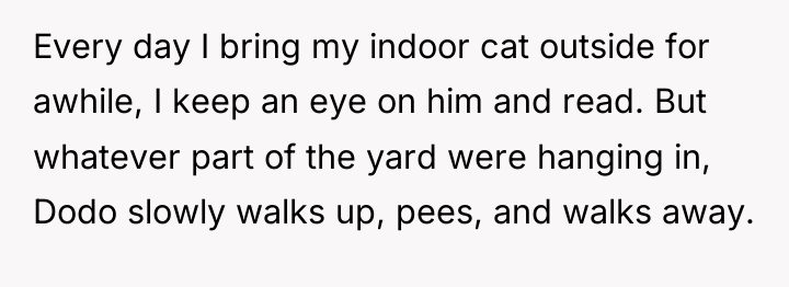 Every day I bring my indoor cat outside for awhile,...