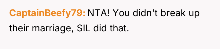CaptainBeefy79 NTA! You didn't break up their marriage, SIL did...