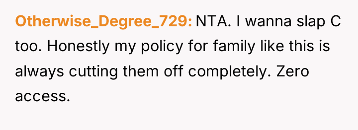 Otherwise_Degree_729 NTA. I wanna slap C too. Honestly my policy...