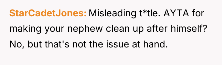 StarCadetJones Misleading t*tle. AYTA for making your nephew clean up...