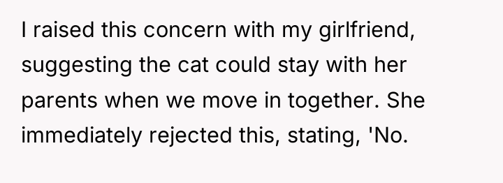 I raised this concern with my girlfriend, suggesting the cat...