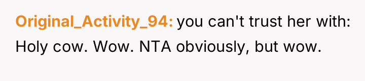 Original_Activity_94 you can't trust her with: Holy cow. Wow. NTA...