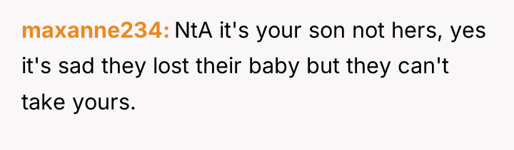 maxanne234 NtA it's your son not hers, yes it's sad...