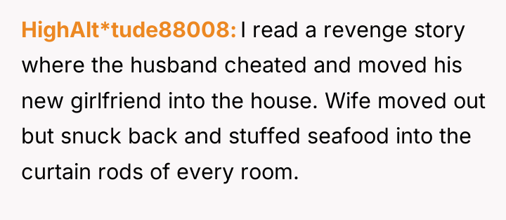 HighAlt*tude88008 I read a revenge story where the husband cheated...