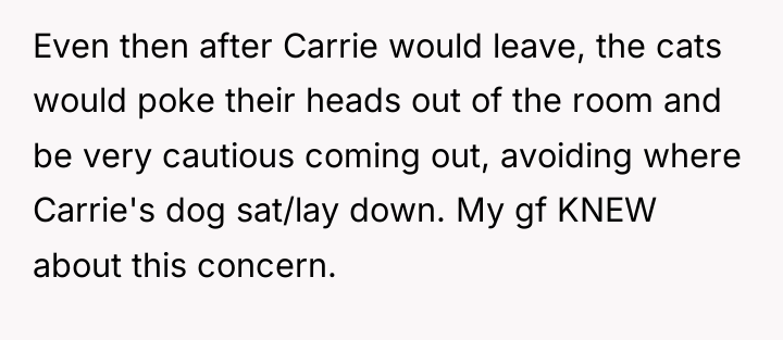 Even then after Carrie would leave, the cats would poke...