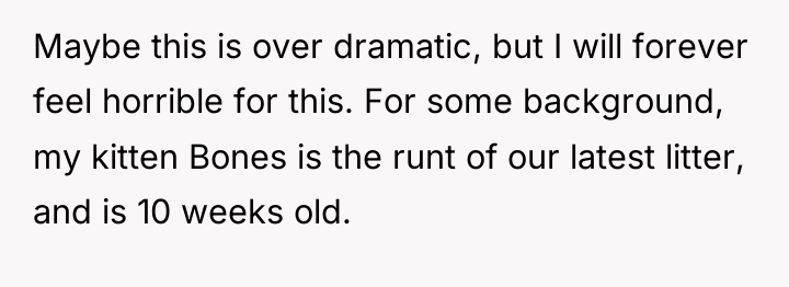Maybe this is over dramatic, but I will forever feel...