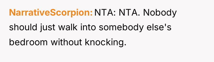 NarrativeScorpion NTA: NTA. Nobody should just walk into somebody else's...