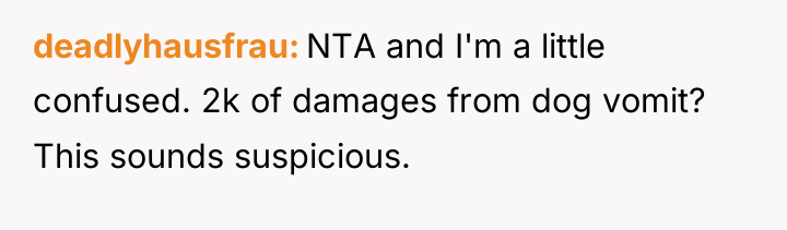 deadlyhausfrau NTA and I'm a little confused. 2k of damages...